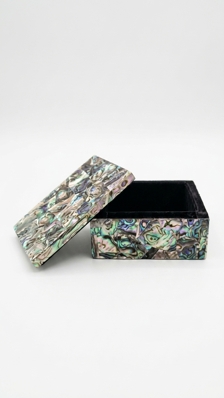 Black Mother of Pearl Decorative Storage Box